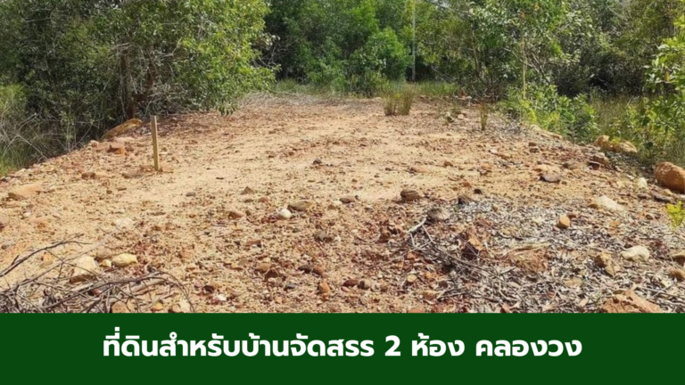 [ ขาย/เช่า ] ที่ดินสำหรับบ้านจัดสรร 2 ห้อง คลองวง